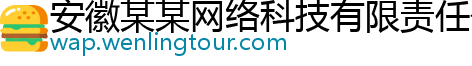 安徽某某网络科技有限责任公司